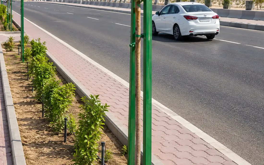Planted central median and interlock sidewalk on a road in service