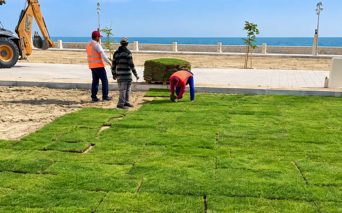 Crew laying turf rolls on a prepared seafront promenade